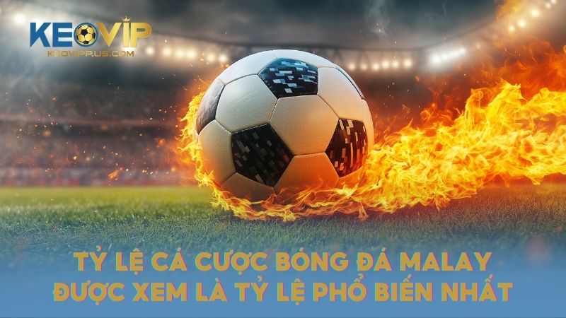 Tỷ lệ cá cược bóng đá Malay được xem là tỷ lệ phổ biến nhất