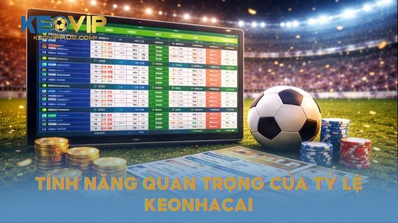 Vai trò và tính năng quan trọng của việc tham khảo tỷ lệ keonhacai