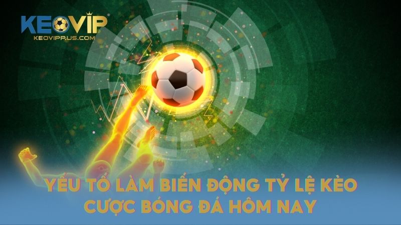 Yếu tố làm biến động tỷ lệ kèo cược bóng đá hôm nay